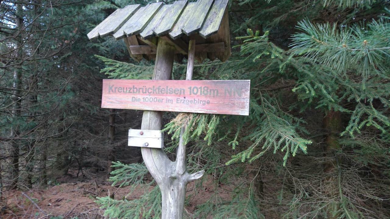 Ferienwohnung Korn Mit Tiefgarage Und Skiraum Oberwiesenthal Eksteriør billede